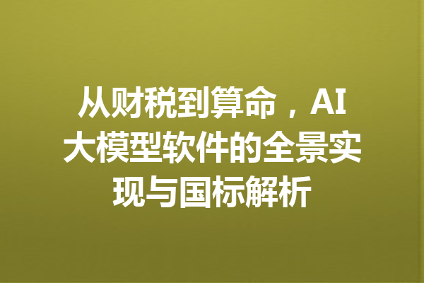 从财税到算命，AI大模型软件的全景实现与国标解析